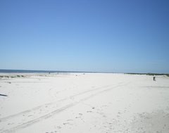 b3.jpg