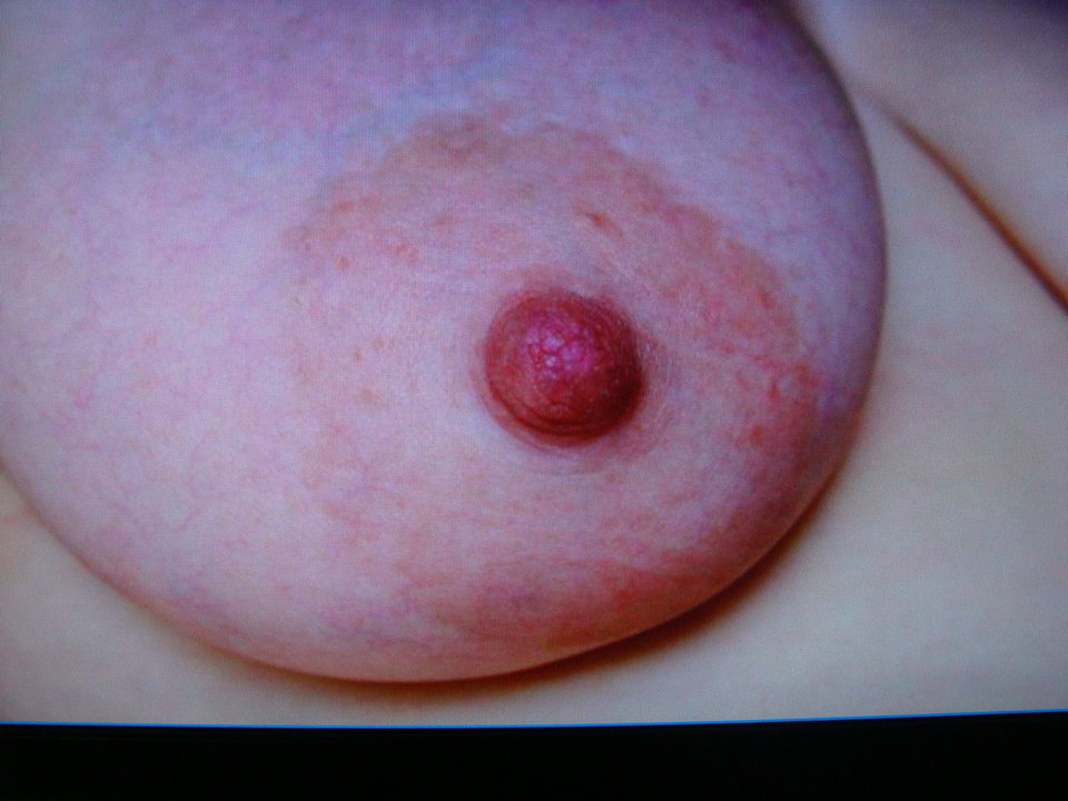 DSC00641.JPG - lusi255