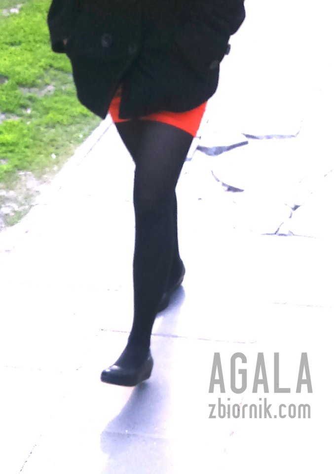 DSC_5910cz.jpg - AGALA
