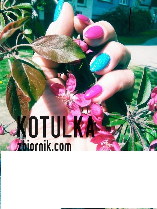 kotulka