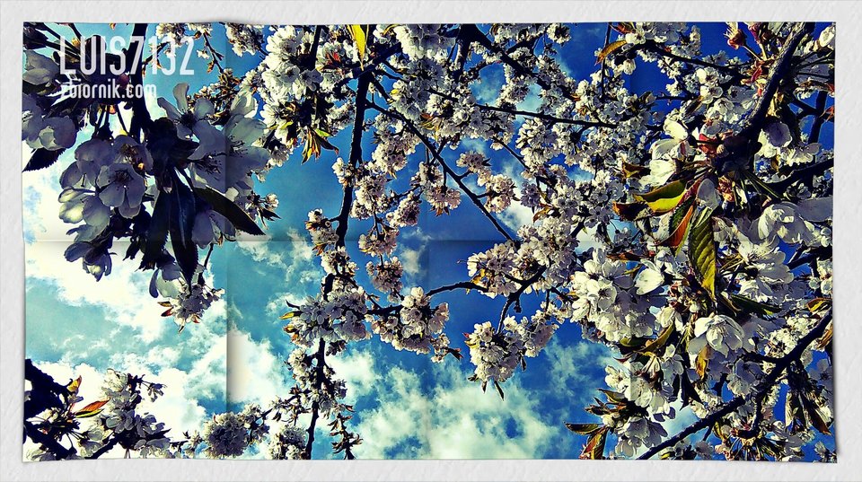 "Pod niebem jest pięknie dzis" :-) - luis7132