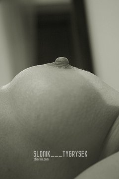 Słoniowy ulubiony pagórek, a Tygrysek ma takie dwa!