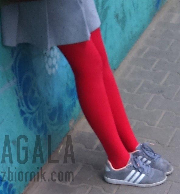 DSC_6120kol.jpg - AGALA