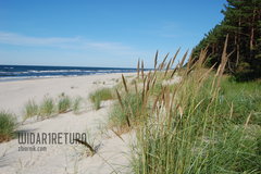 skowronki 2008 023.JPG