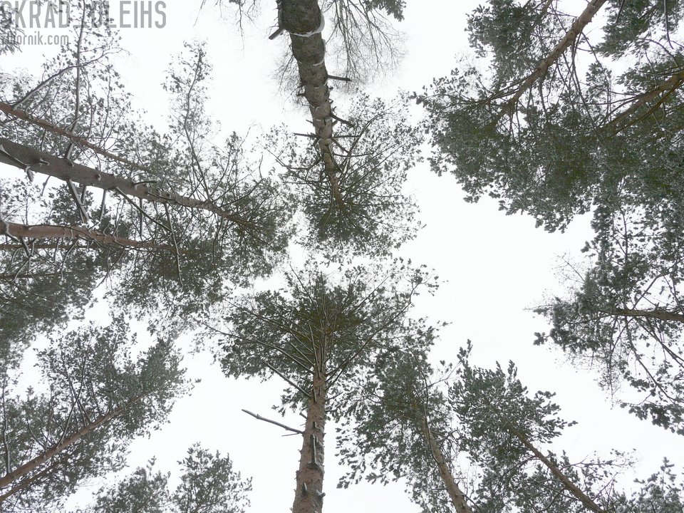 P1170274.jpg - skrad_dleihs