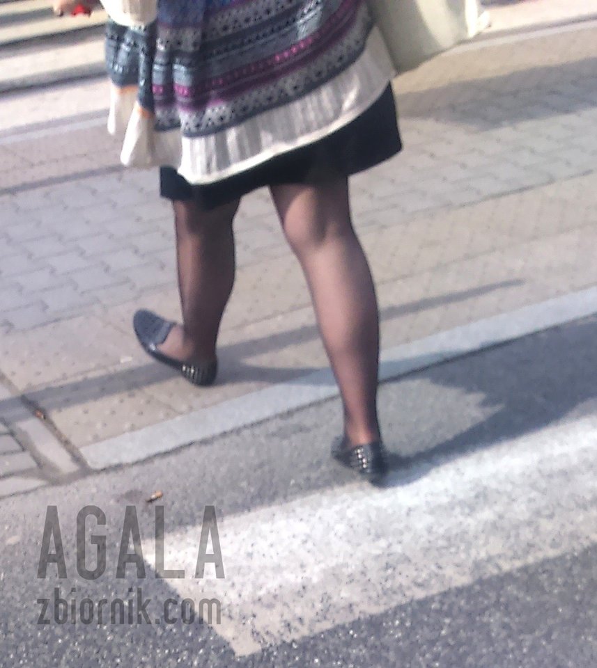 DSC_6272cz.jpg - AGALA