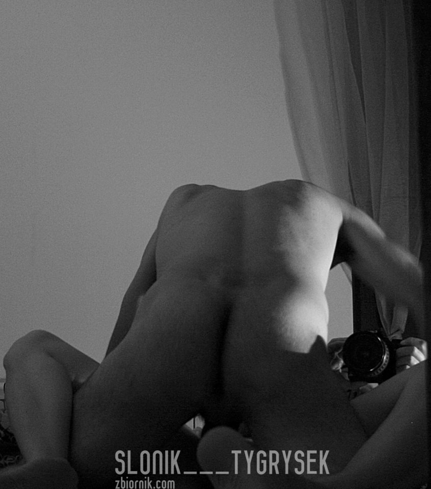 Lustereczko - slonik___tygrysek