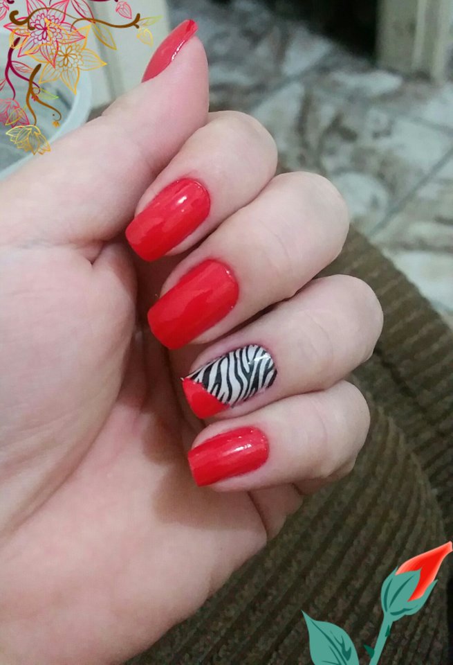 Moje ulubione ...chcesz podrapie;;) - Slodka_Rozyczka