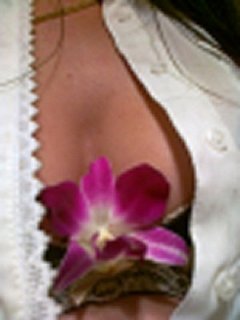 20110812043.jpg