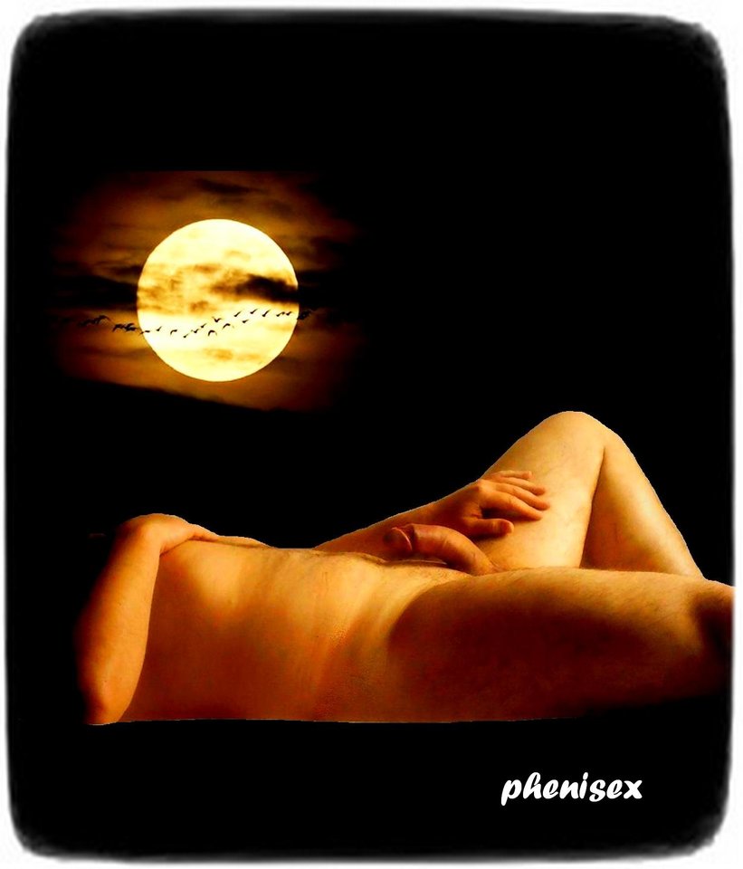 w blasku księżyca ... - phenisex