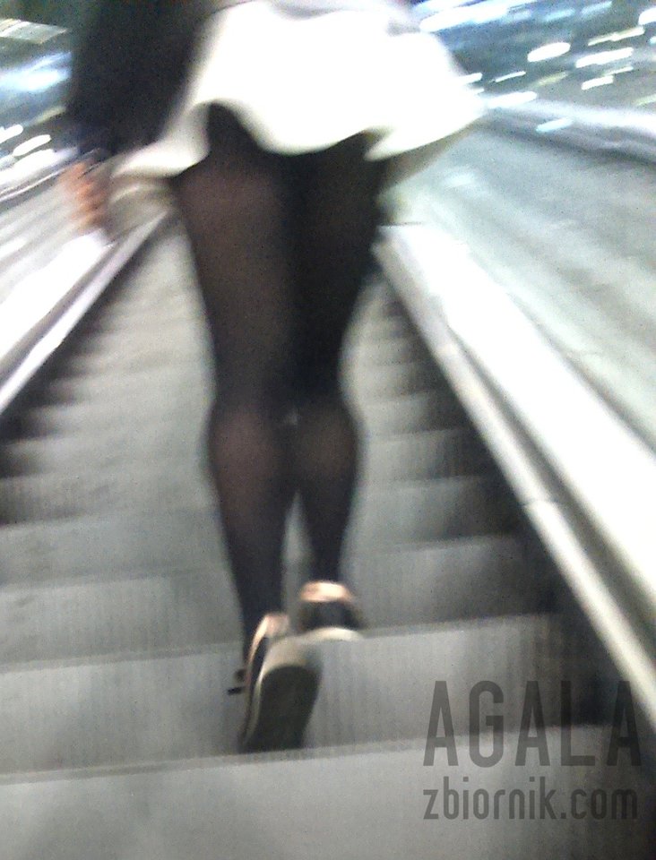 DSC_6422cz.jpg - AGALA