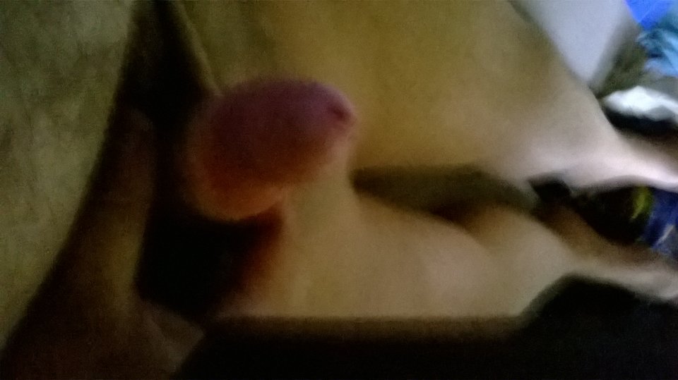 WP_20160517_075.jpg - Kamilia