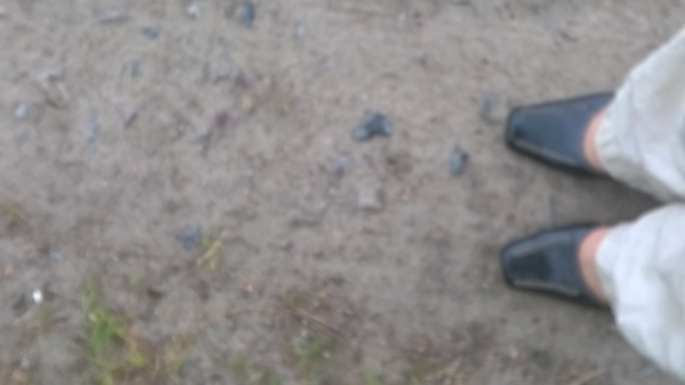 WP_20160517_024.jpg - Kamilia