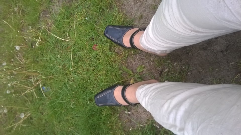 WP_20160517_029.jpg - Kamilia