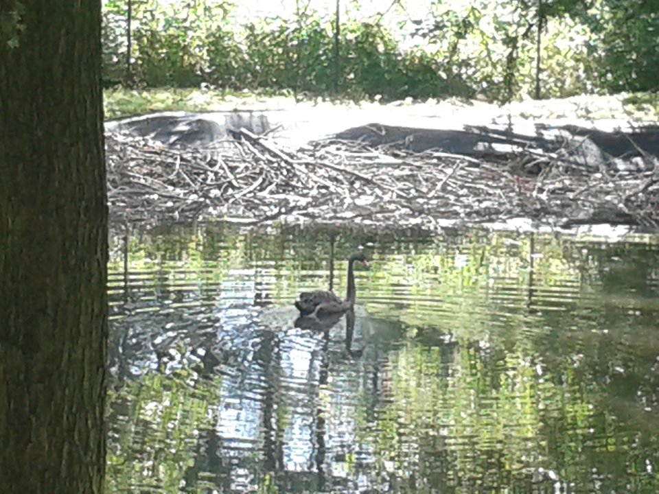 20150731_153050.jpg - tomixp