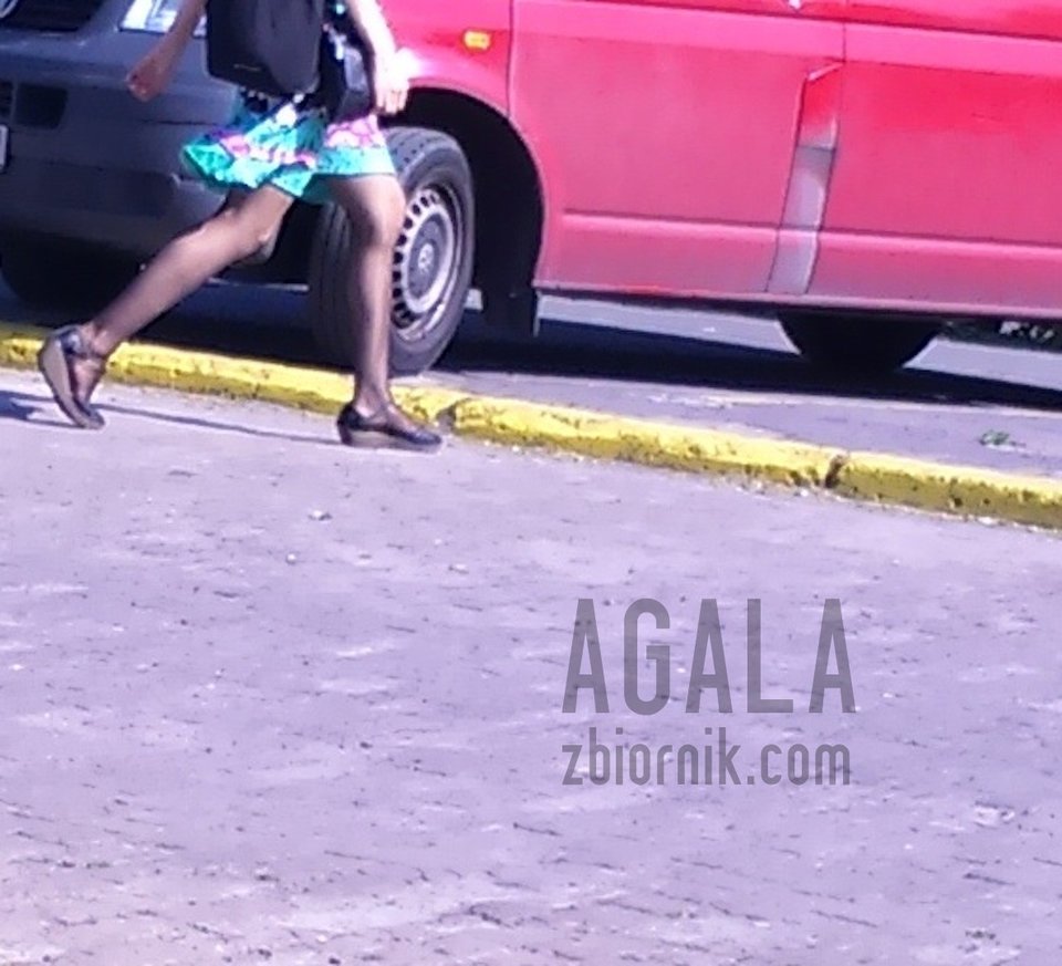 DSC_6564cz.jpg - AGALA