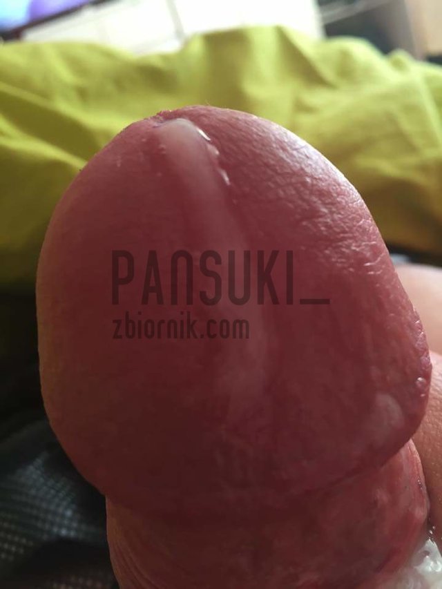 PanSuki_