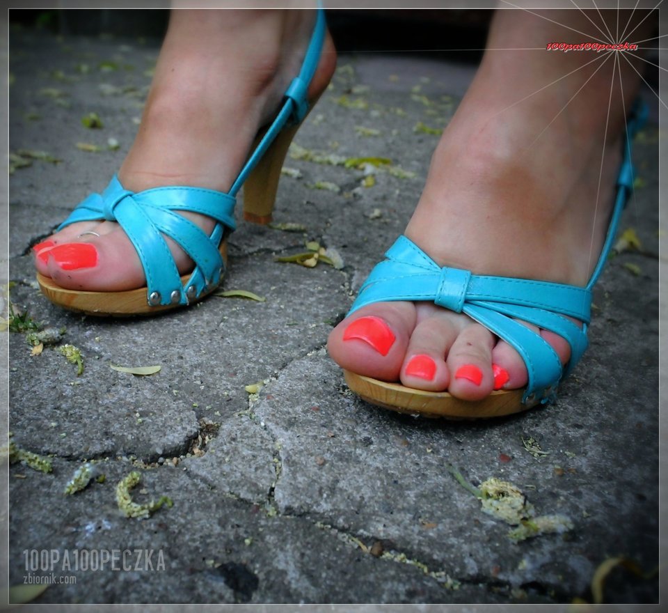 Błękitne Drewniaczki #56 - 100pa100peczka