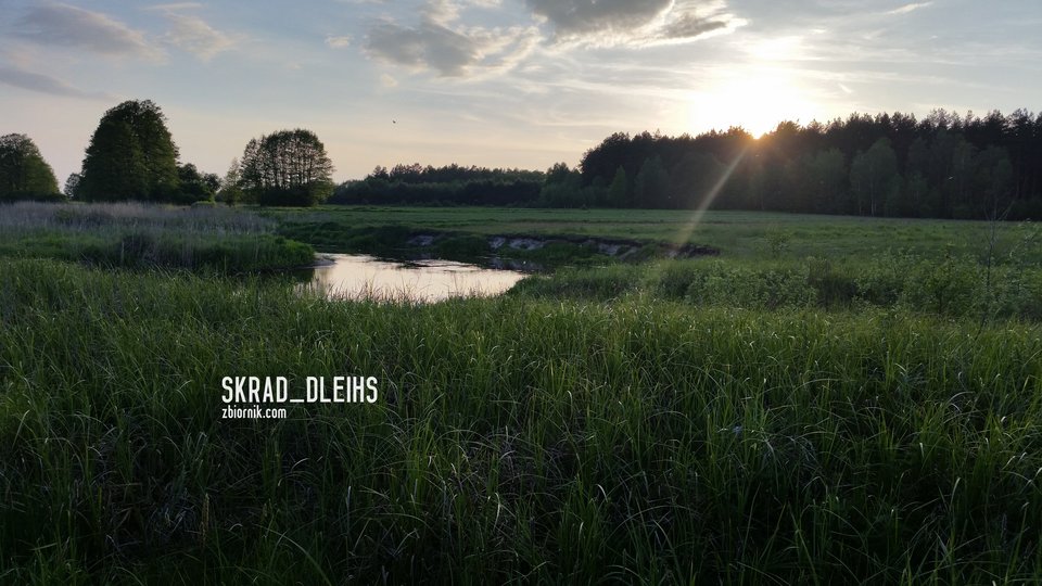 20160521_193944.jpg - skrad_dleihs