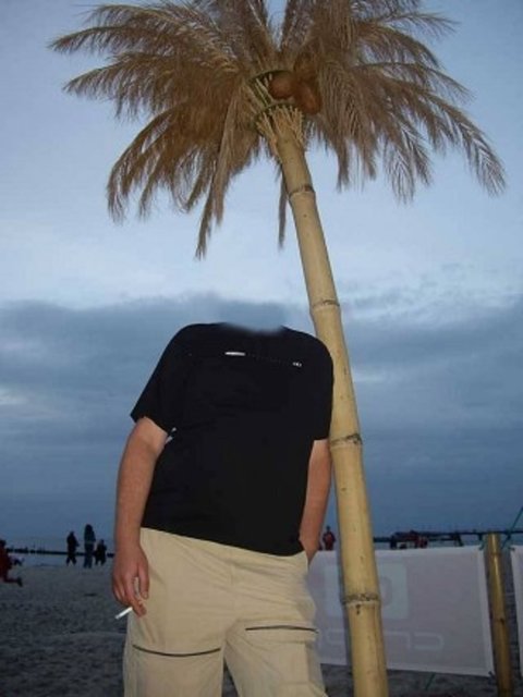 tomi2.jpg - piotrek2028