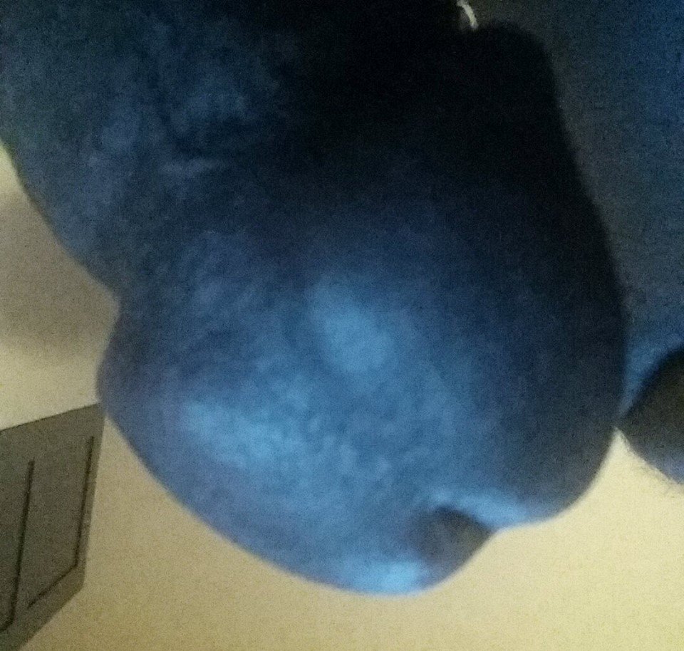 11868775_888390701230293_1430648993_n.jpg - jboyy