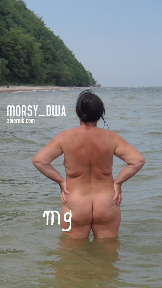 Widok na przystań Obłuże - Morsy_dwa