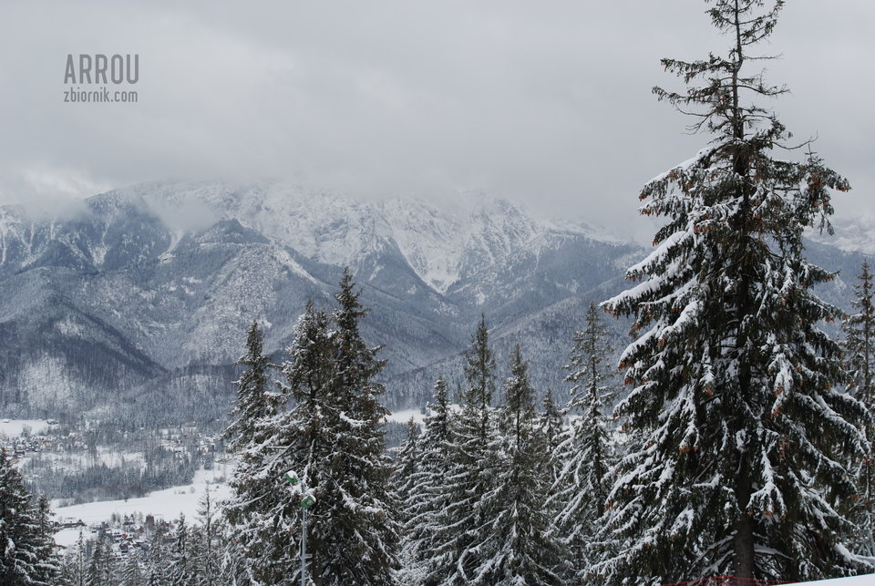 DSC_2999.JPG - Arrou