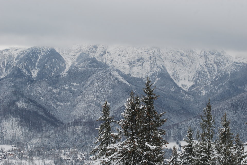 DSC_3005.JPG - Arrou