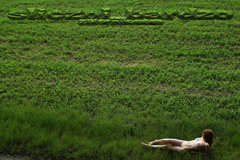 ...gdzieś jest...czterolistna...