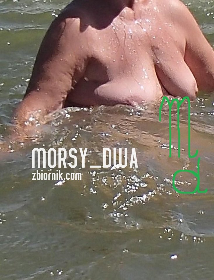 Pływalność II - Morsy_dwa