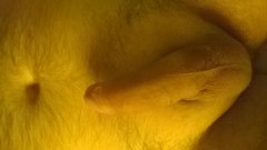 WP_20160609_006.jpg