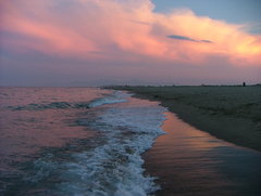 DSCF5035.JPG