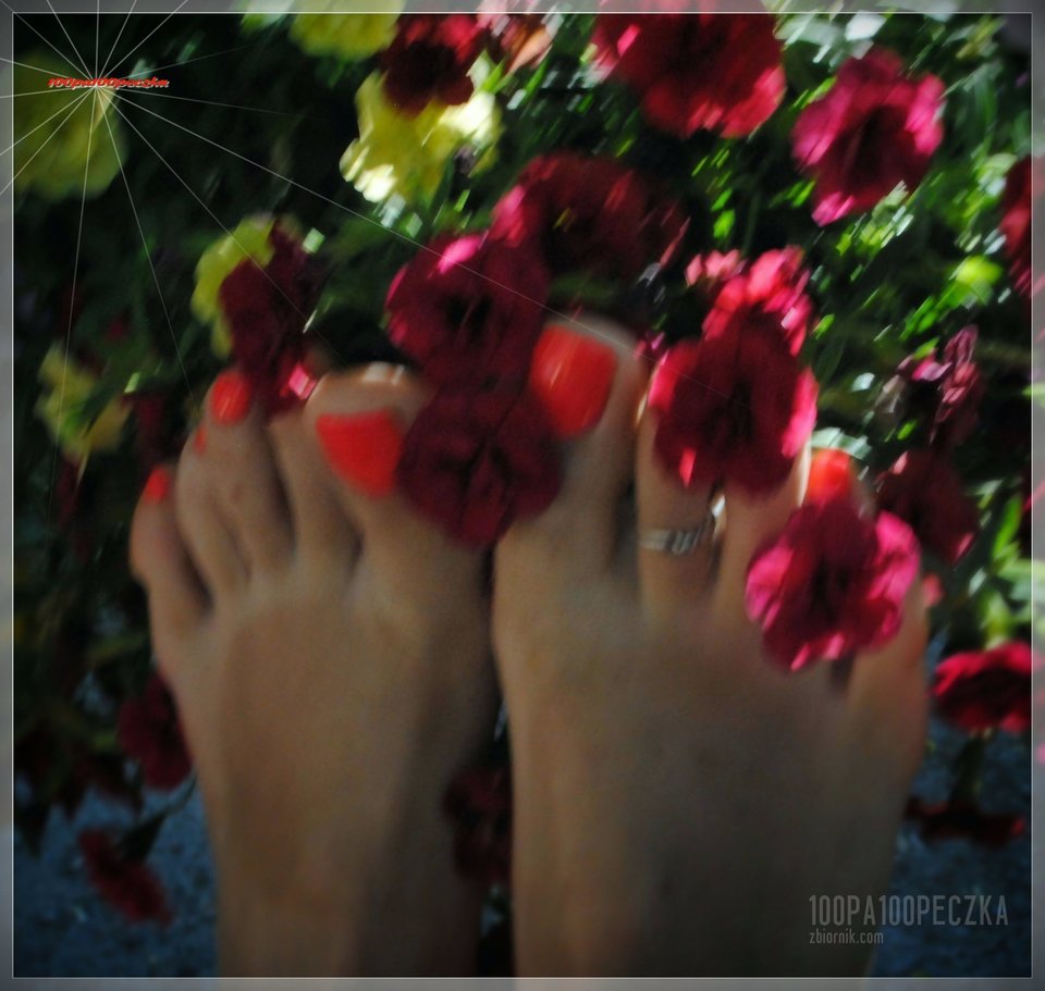 flowers #07 - 100pa100peczka