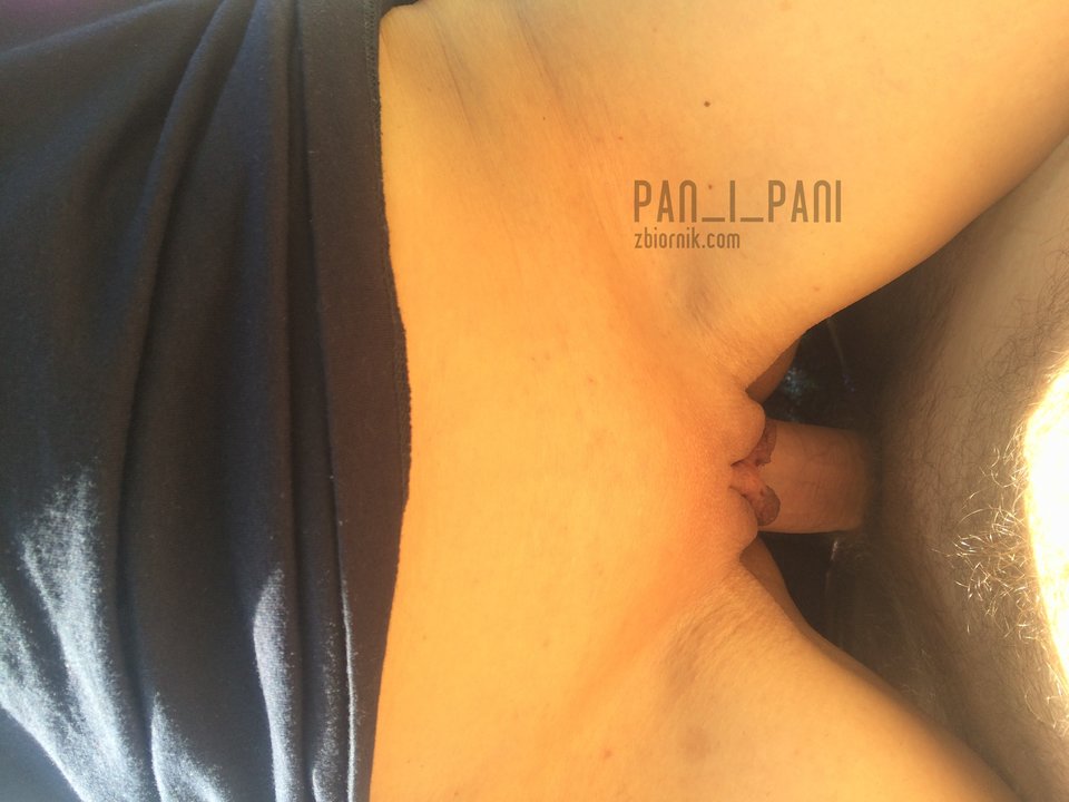 image.jpeg - pan_i_pani