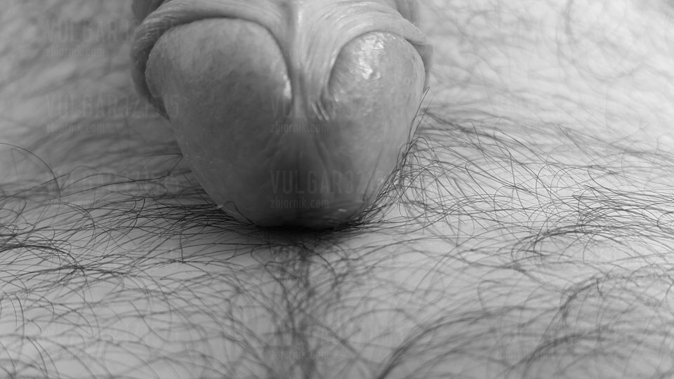 20160624_140957.jpg - vulgar321515