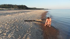 kokosanek szuka bursztynków