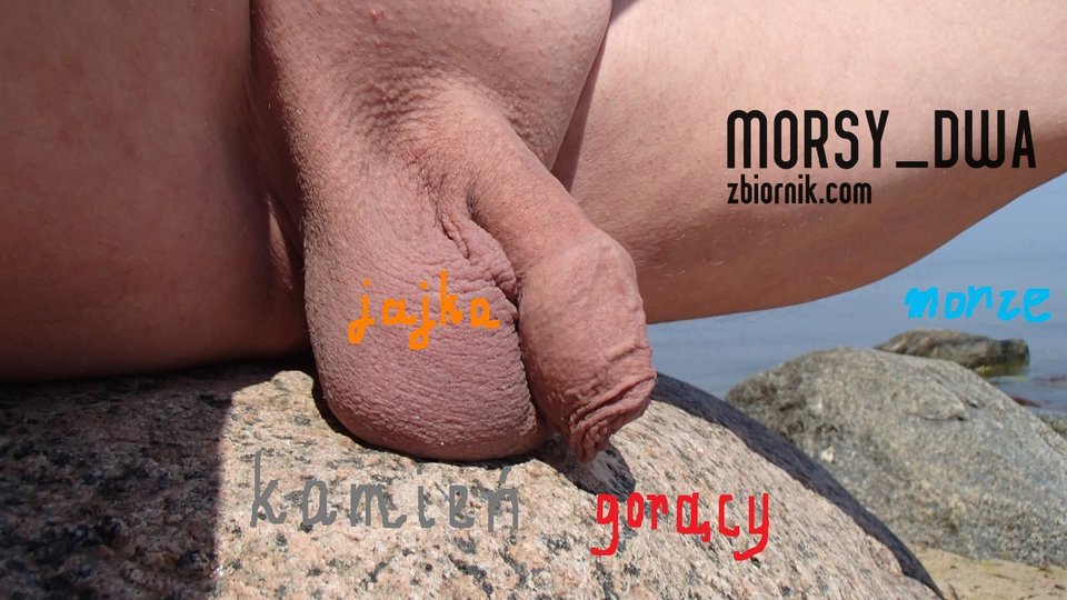 Na kamieniu - Morsy_dwa