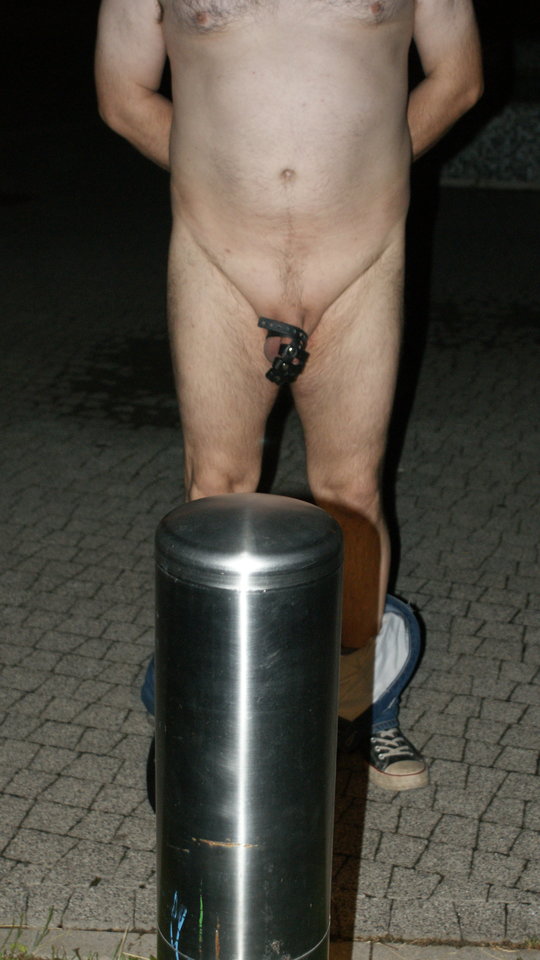 Rogacz na mieście - cuckoldowie