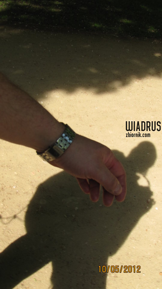 Orła cień :) - WIADRUS