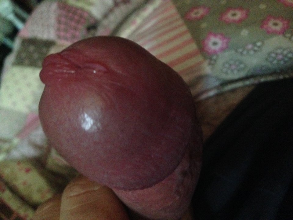 0990E092-EF2B-44B9-885C-D14D2B418E5C.JPG - bondjames728