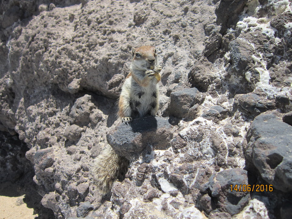 IMG_2097.JPG - cato1