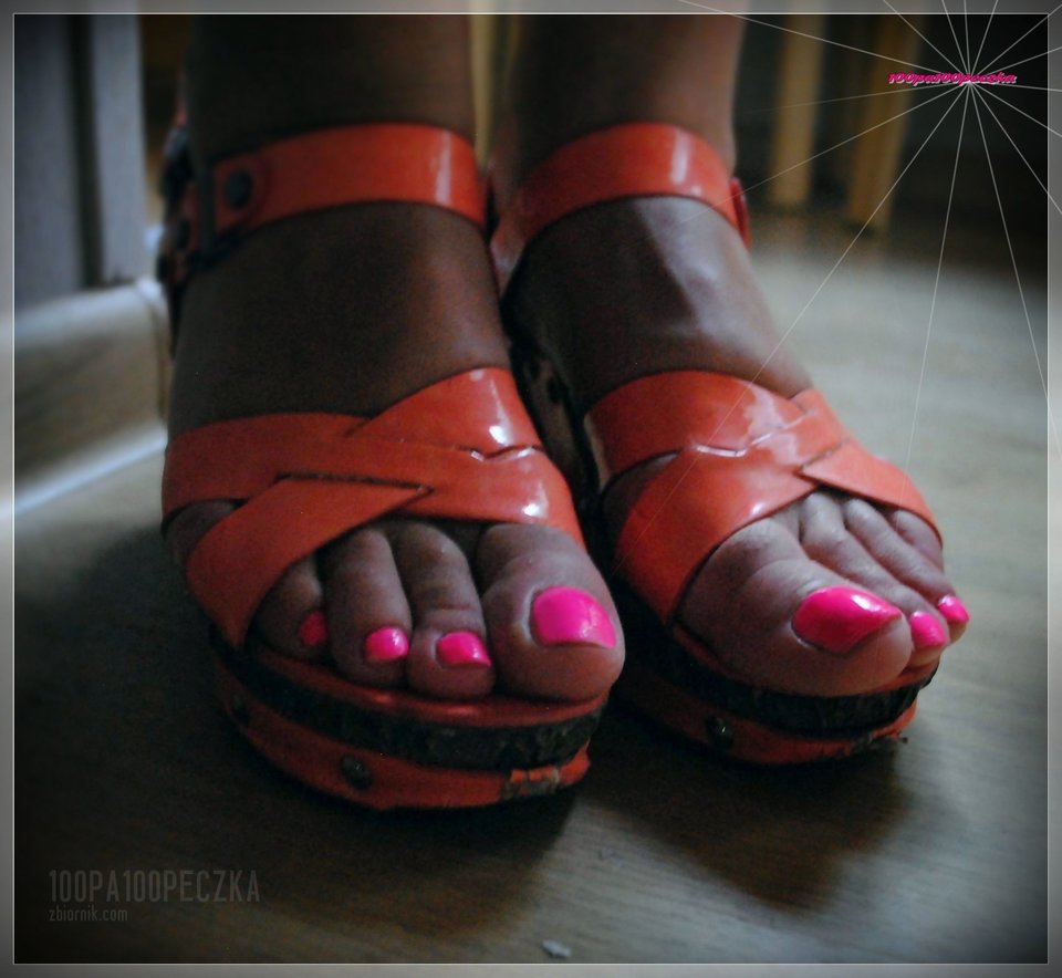 Pomaranczowe II #21 - 100pa100peczka