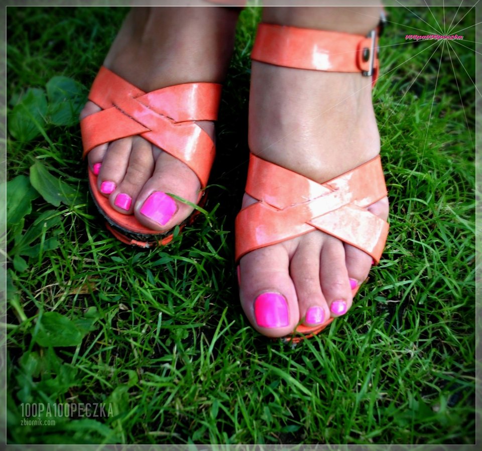 Pomaranczowe II #26 - 100pa100peczka