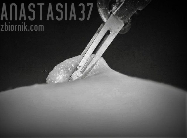uwięziony - Anastasia37