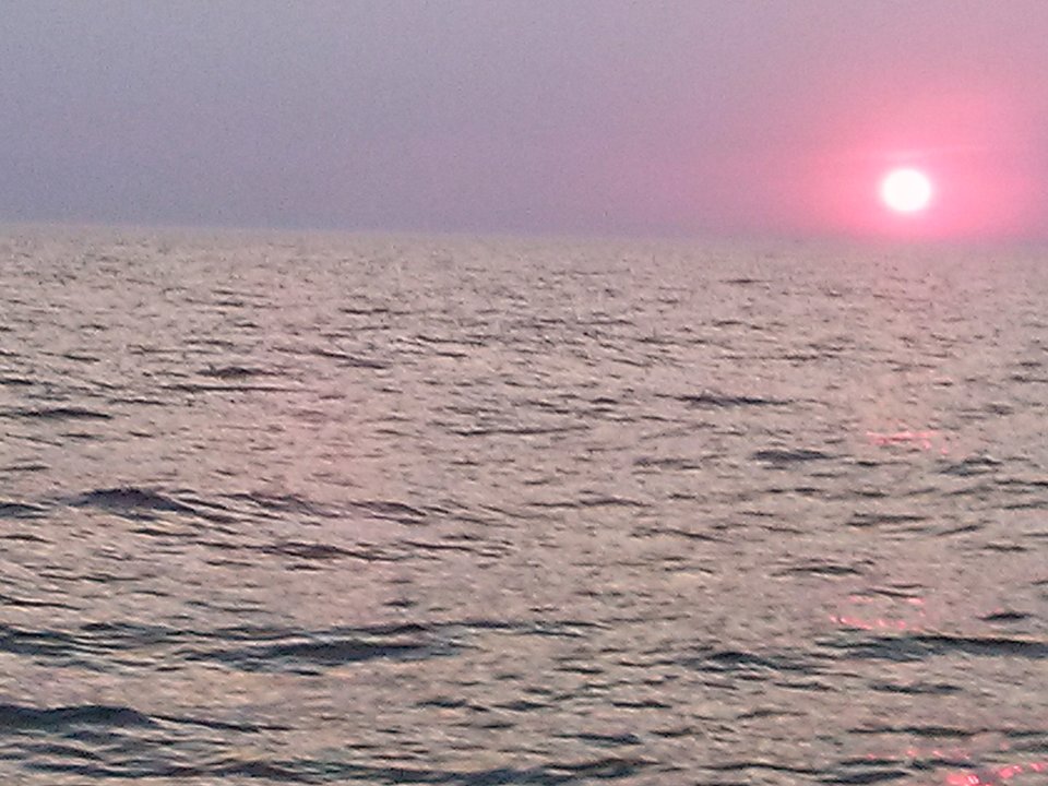 CAM00006.jpg - Niesmialy2489