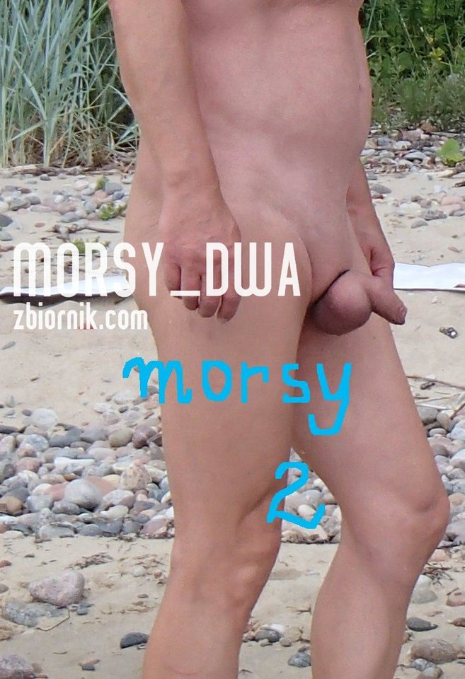 Ogonek - Morsy_dwa