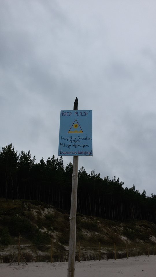 20160710_135723.jpg - strayk