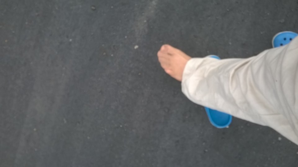 WP_20160517_051.jpg - Kamilia