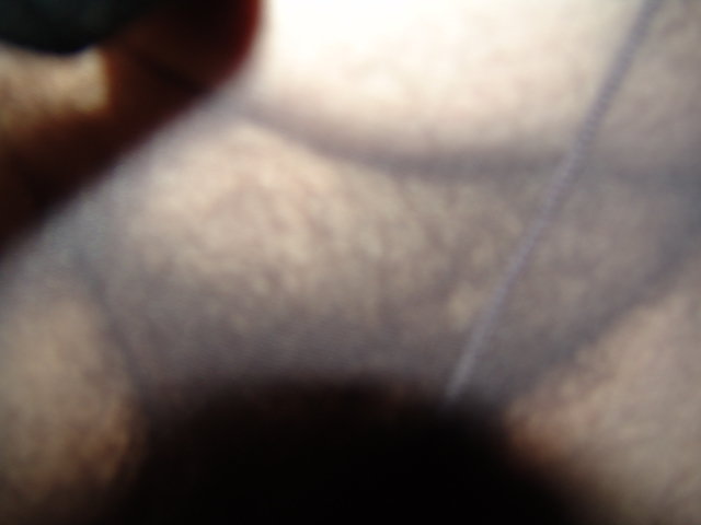 DSC08353.JPG - Kamilia