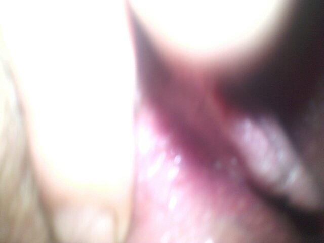 IMG_20160715_165217_3CS.jpg - dziad68